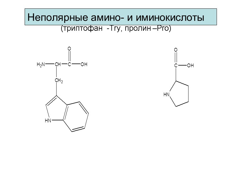 Неполярные амино- и иминокислоты (триптофан  -Try, пролин –Pro)
